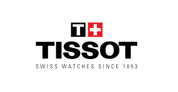 Tissot Titanium Link T613035500